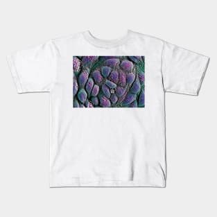 Embryonic stem cells, SEM (G442/0236) Kids T-Shirt